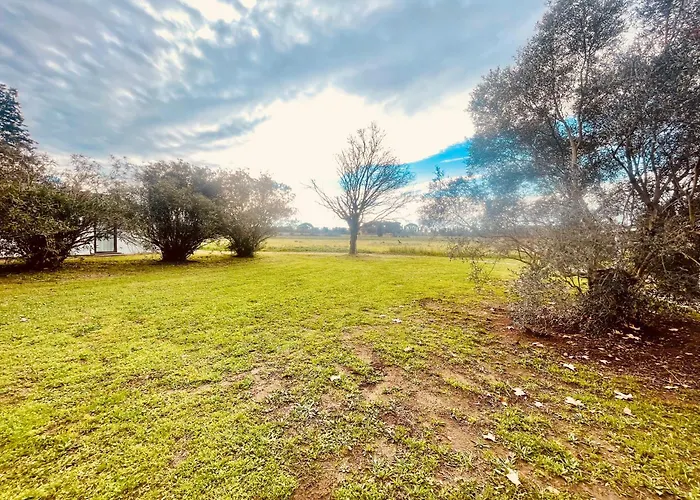 شقة Chez Babou D'artistes Avec Piscine, Parking *